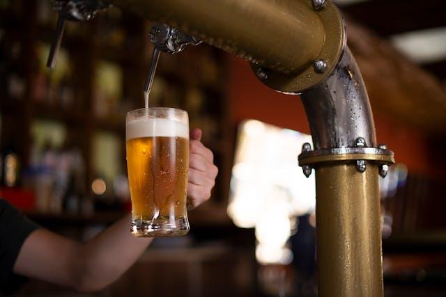 Multi Qlti Tap Bar | Craft Beer
